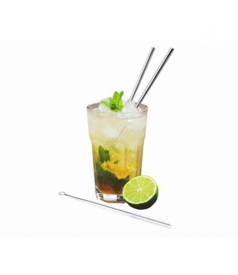 Stainless Steel Straws Set of 4 (Straight) Vin Bouquet, Spain Stainless Steel Straws Set of 4 (Straight) Vin Bouquet, Spain