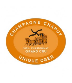 查普王 獨一無二頂級白中白香檳 2014 750 ml France, Champagne