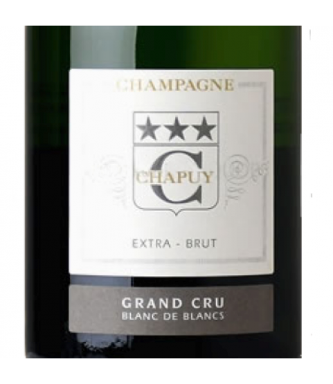 查普王 特級白中白香檳 (特乾) 750ml France, Champagne 查普王 特級白中白香檳 (特乾) 750ml France, Champagne